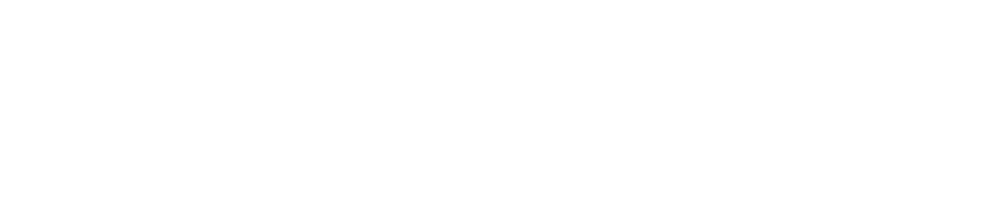 Liberty Dental Plan logo